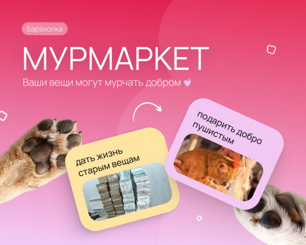 «Мурмаркет» в Петербурге: как превратить ненужные вещи в помощь пушистым подопечным «Мурмаркет» в Петербурге: как превратить ненужные вещи в помощь пушистым подопечным